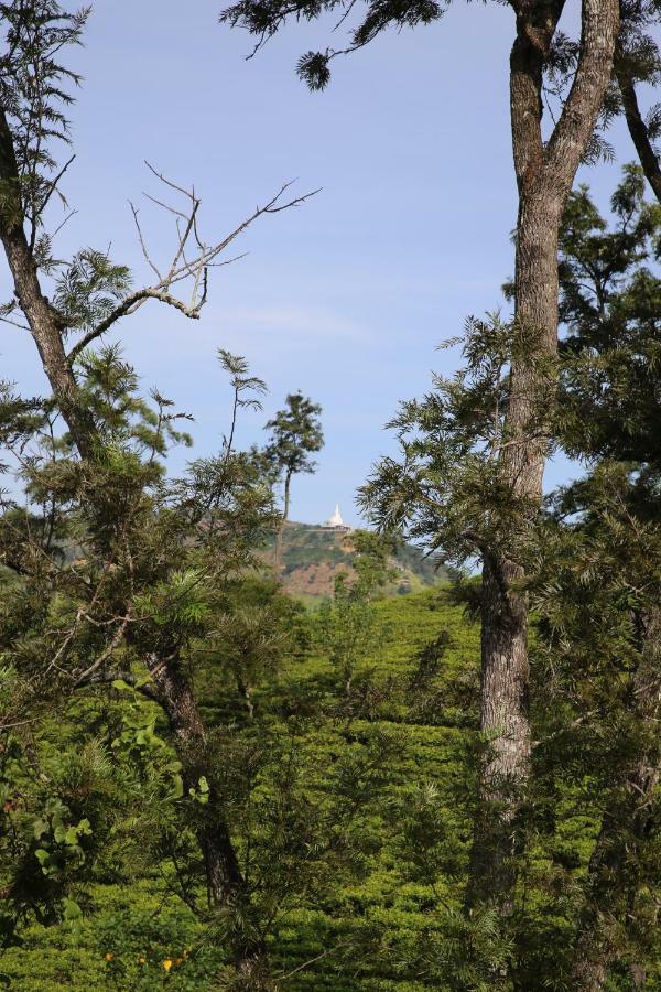 The Tea View Guest Ella Hotel Bagian luar foto