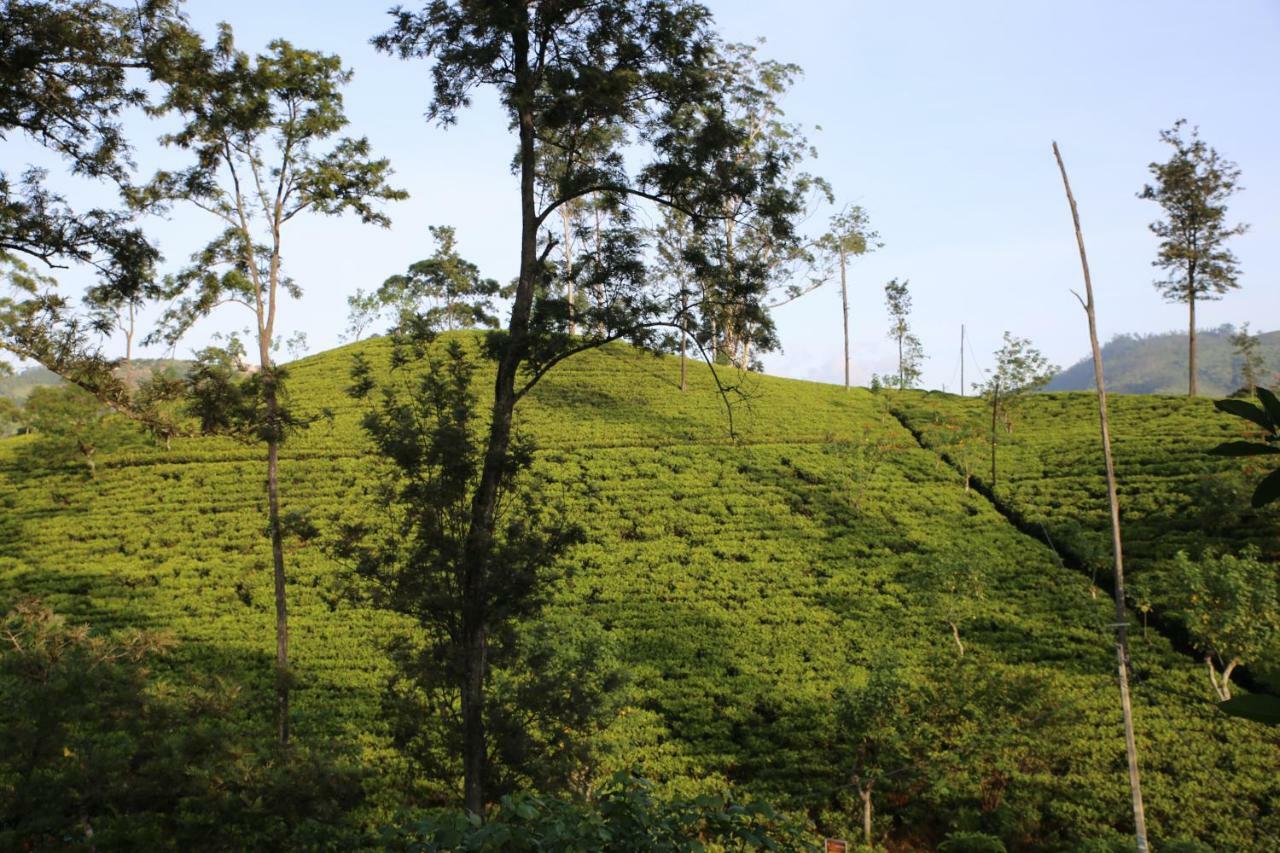 The Tea View Guest Ella Hotel Bagian luar foto