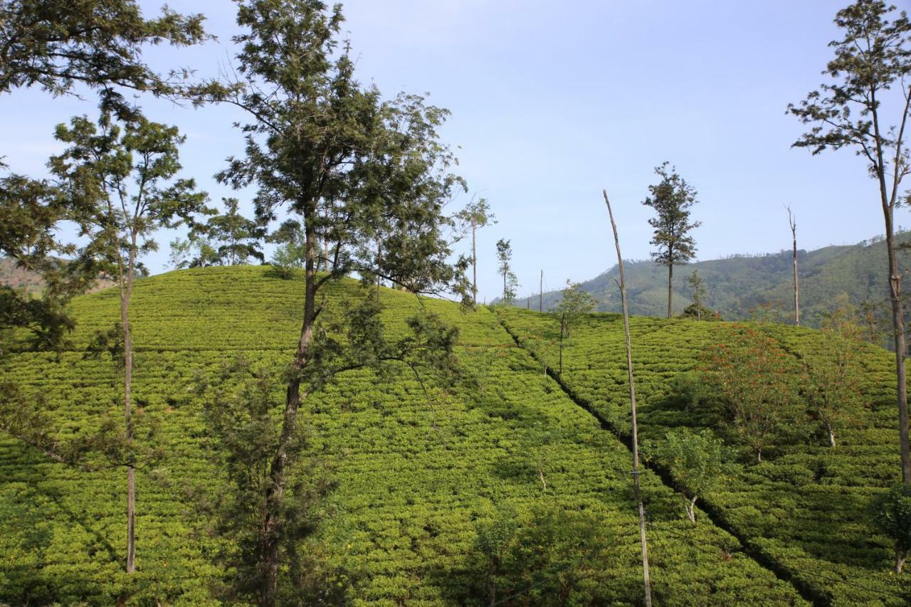 The Tea View Guest Ella Hotel Bagian luar foto